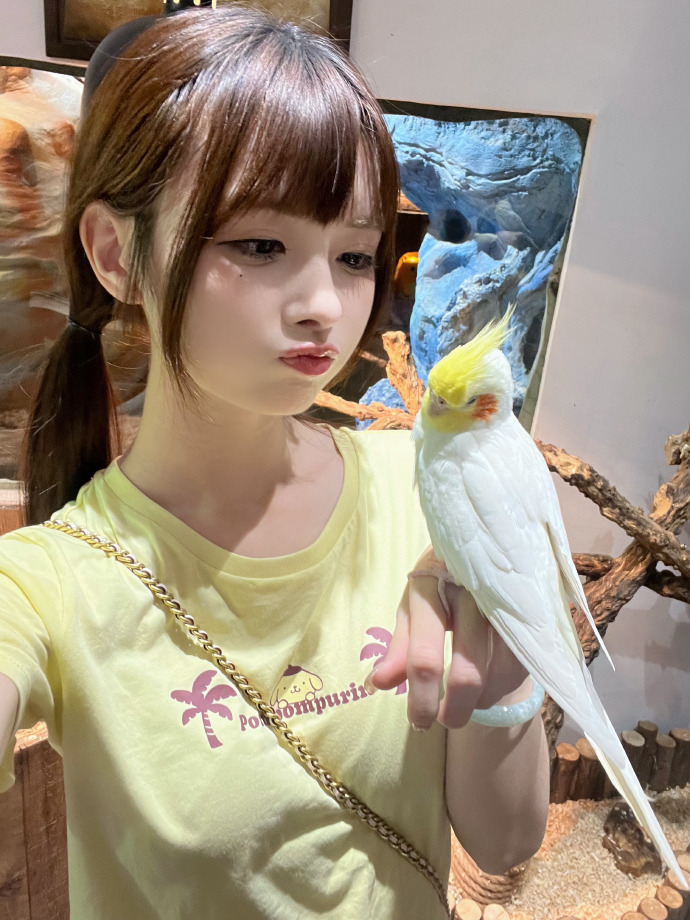 苍兰诀 封面